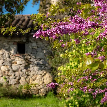 La Maison De Yuka Frühstückspension