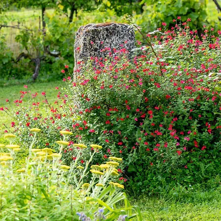 Bed & Breakfast La Maison De Yuka