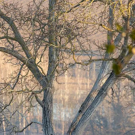 La Maison De Yuka Bed & Breakfast
