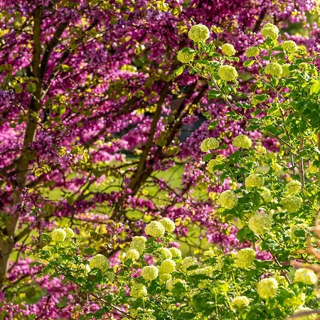 Bed & Breakfast La Maison De Yuka 3*