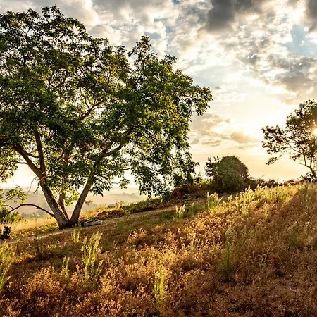 Bed & Breakfast La Maison De Yuka