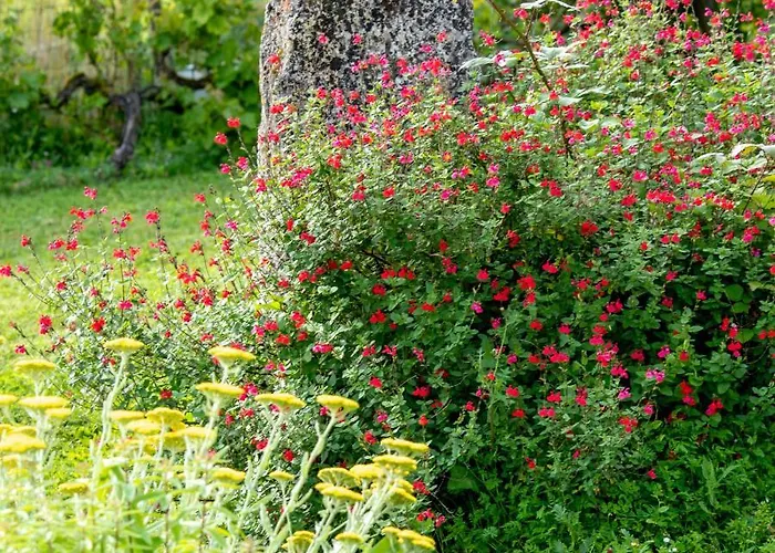 Alojamento de Acomodação e Pequeno-almoço La Maison De Yuka