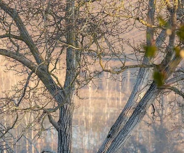 La Maison De Yuka Alojamento de Acomodação e Pequeno-almoço