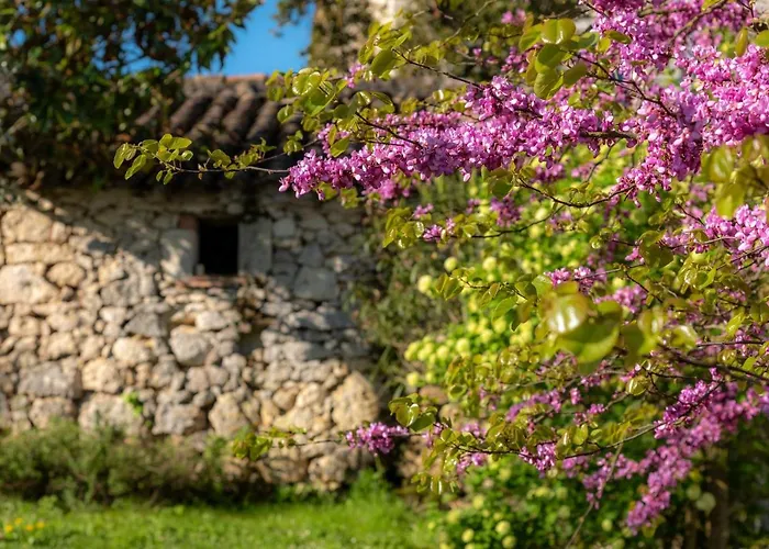 La Maison De Yuka Alojamento de Acomodação e Pequeno-almoço