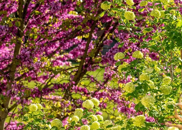 Alojamento de Acomodação e Pequeno-almoço La Maison De Yuka 3*